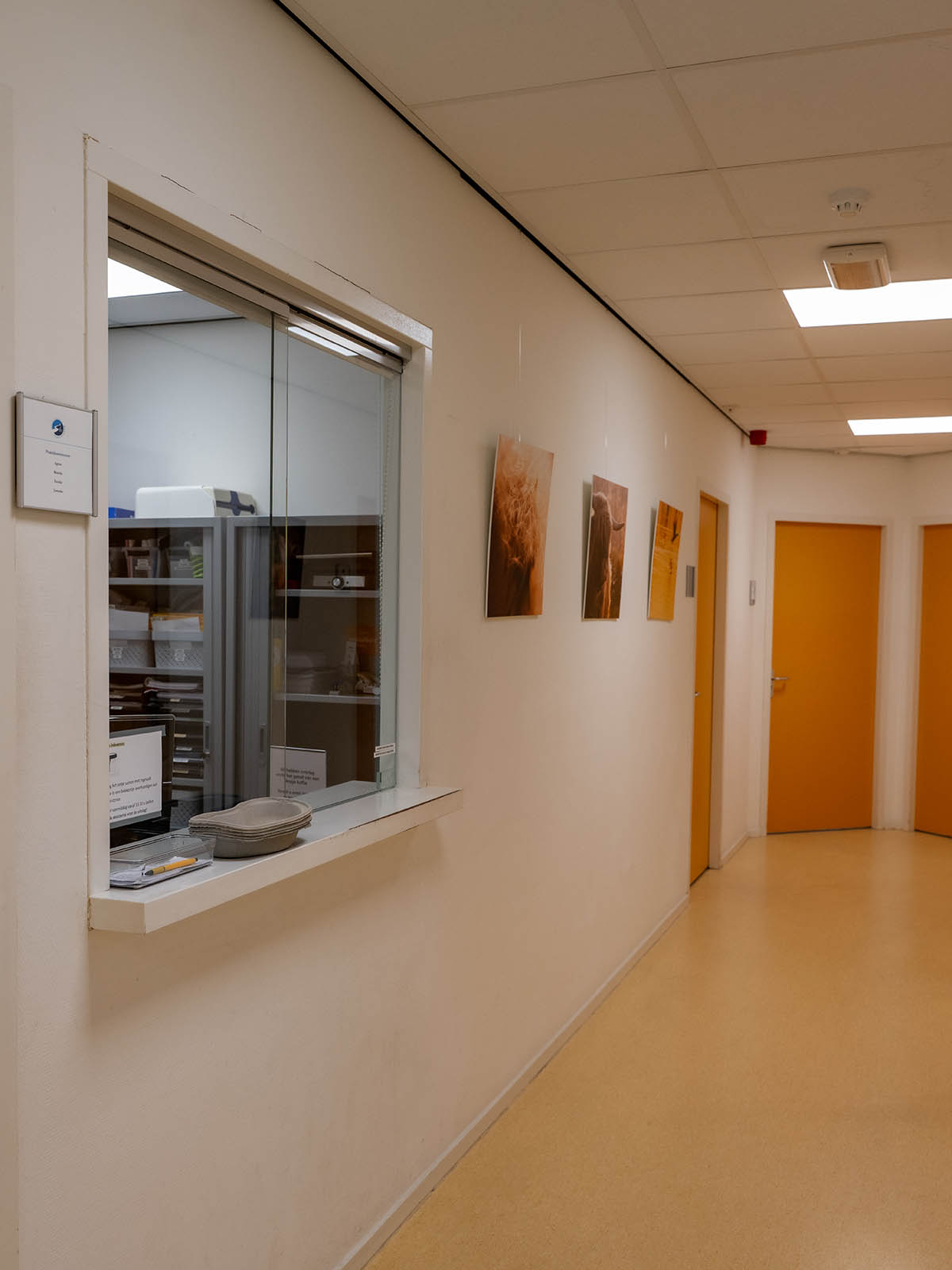 Balie Texelstroom Huisarts